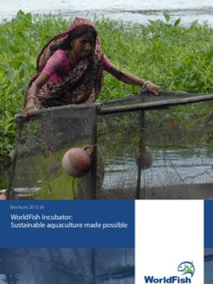 WorldFish incubator: Sustainable aquaculture made possible