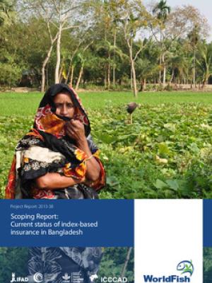 Scoping report: Current status of index-based insurance in Bangladesh