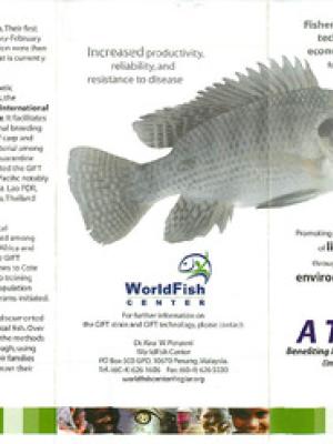 GIFT improved farmed tilapia