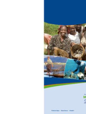 Medium term plan 2009-2011