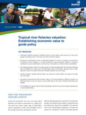 Tropical river fisheries valuation: establishing economic value to guide policy