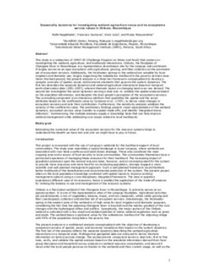 Seasonality dynamics for investigating wetland-agriculture nexus and its ecosystems service values in Chibuto, Mozambique