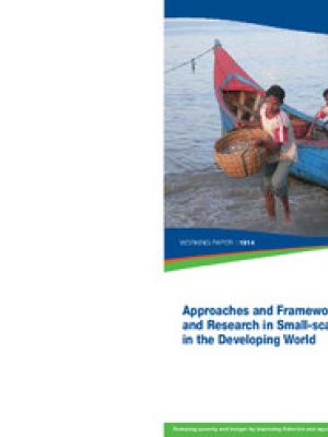 Approaches and frameworks for management and research in small-scale fisheries in the developing world