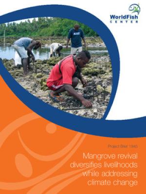 Mangrove revival diversifies livelihoods while addressing climate change