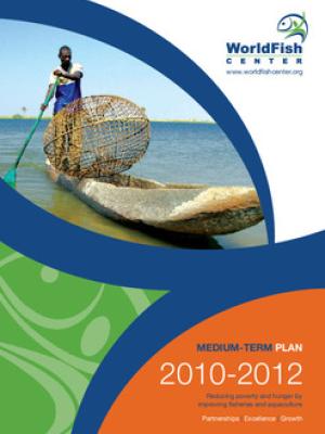 Medium term plan 2010-2012