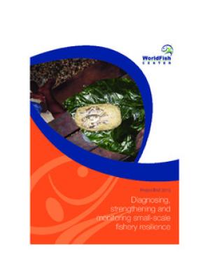 Diagnosing, strengthening and monitoring small-scale fishery resilience