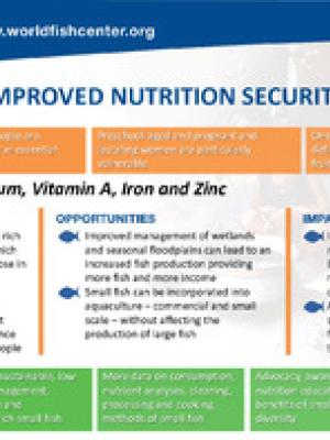 Fish for the improved nutrition security of the poor