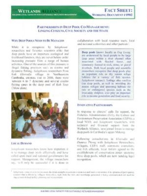 Partnerships in deep pool co-management: linking citizens, civil society and the State