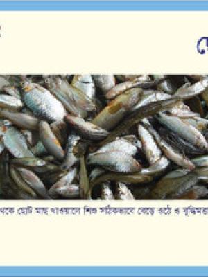 Recipe card [in Bengali]