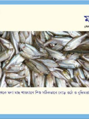 Recipe card: Amblypharyngodon mola [in Bengali]