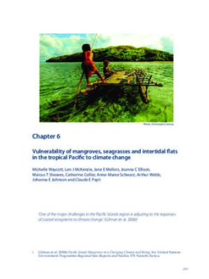 Vulnerability of mangroves, seagrasses and intertidal flats in the tropical Pacific to climate change