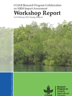 CGIAR research program collaboration on NRM impact assessment: workshop report. 12-14 February