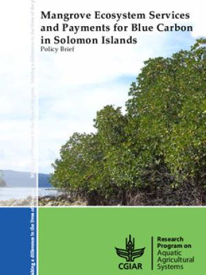Mangrove ecosystem services and payments for blue carbon in Solomon Islands