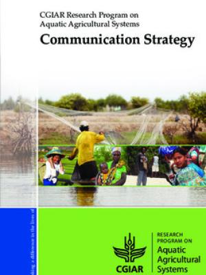 Communication strategy