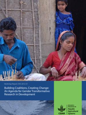 Building coalitions, creating change: An agenda for gender transformative research in development workshop report.  3-5 October 2012.Penang, Malaysia