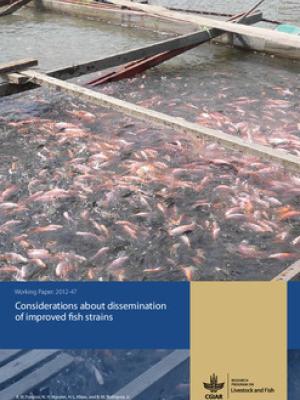 Considerations about effective dissemination of improved fish strains