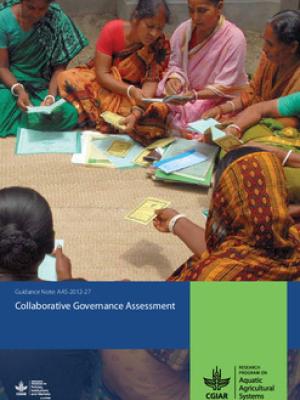 Collaborative governance assessment