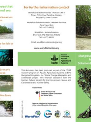 Keeping Solomon Islands' Mangroves healthy