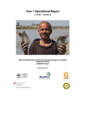 Year 1 operational report: Improving employment and income through development of Egypt’s aquaculture sector (IEIDEAS) project