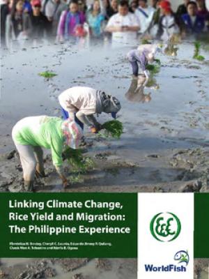 Linking climate change, rice yield, and migration: the Philippine experience
