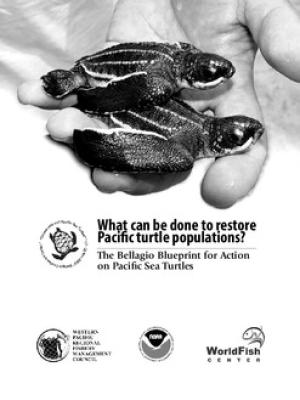 What can be done to restore Pacific turtle populations?: The Bellagio blueprint for action on Pacific sea turtles