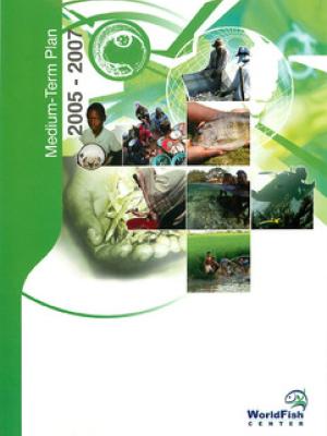 Medium-term plan 2005 - 2007