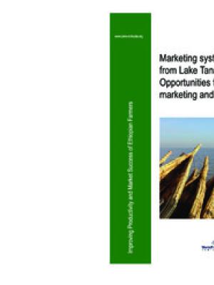 Marketing systems for fish from Lake Tana, Ethiopia: opportunities for improved marketing and livelihoods