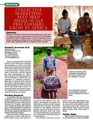 Collective marketing may help small-scale fish farmers in Africa