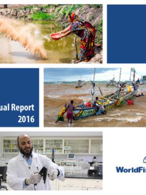 Annual report 2016