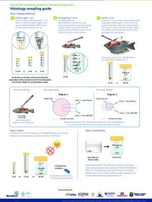 Quick fish sampling guide for disease diagnostics - Histology sampling guide