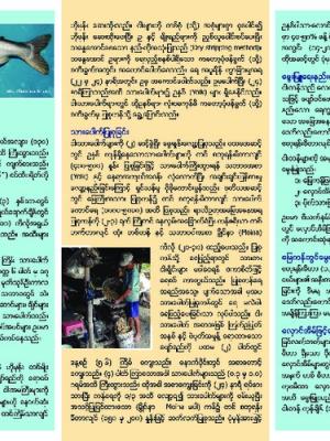Pangasianodon hypophthalmus breeding, nursing and grow-out (Burmese version)