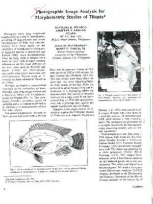 Photographic image analysis for morphometric studies of tilapia