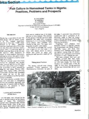 Fish culture in homestead tanks in Nigeria: practices, problems and prospects