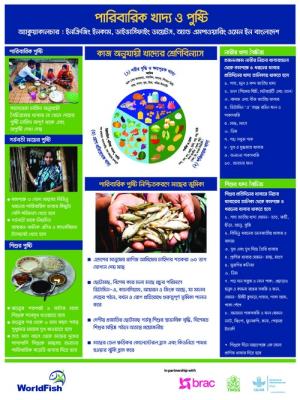Nutrition Festoon 1