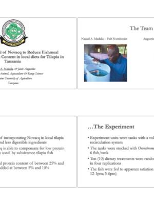 Assessing potential of Novacq™ in local diets for Tilapia