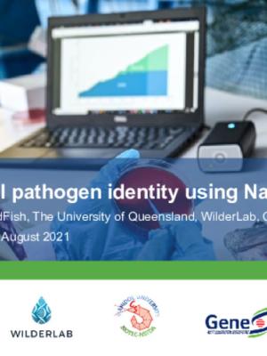 Uncover bacterial pathogen identity using Nanopore MinION