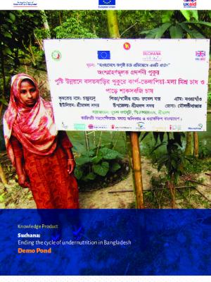 Suchana: Ending the cycle of undernutrition in Bangladesh. Demo Pond