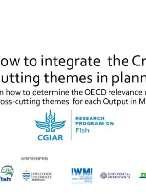 Guideline on how to integrate  the  Cross-cutting themes in planning through MEL