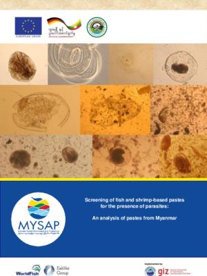 Screening of fish and shrimp-based pastes for the presence of parasites: An analysis of pastes from Myanmar