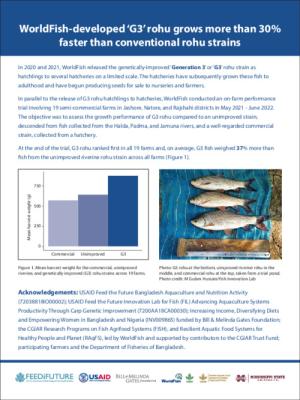WorldFish-developed Generation 3 rohu grows more than 30% faster than conventional rohu strains