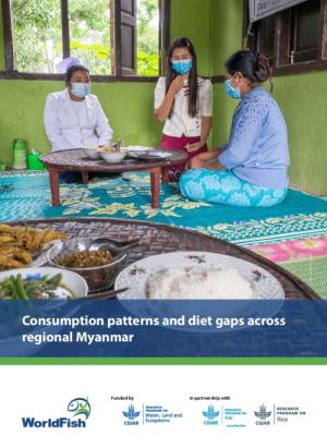 Consumption patterns and diet gaps across regional Myanmar