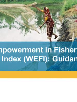 Women's Empowerment in Fisheries and Aquaculture Index (WEFI): Guidance Notes