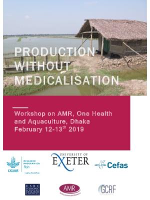 Production without Medicalisation: Workshop report on AMR, One Health and Aquaculture, Dhaka February 12-13th 2019