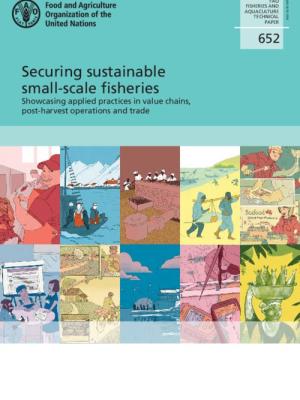 Fish traders and processors network: Enhancing trade and market access for small-scale fisheries in the West Central Gulf of Guinea