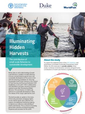 Illuminating Hidden Harvests: The contribution of small-scale fisheries to sustainable development