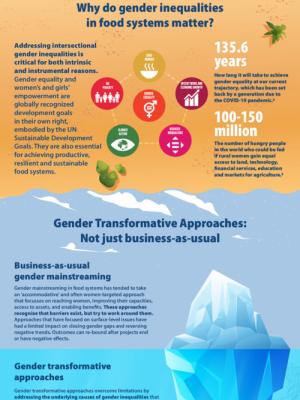 Gender Transformative Approaches: Transforming food systems to advance equality