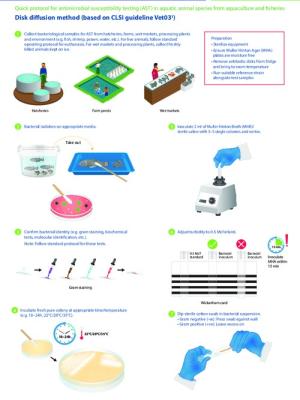 Quick protocol for antimicrobial susceptibility testing (AST) in aquatic animal species from aquaculture and fisheries