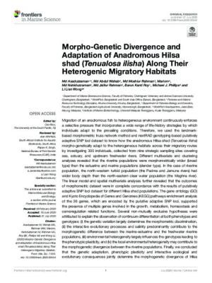 Morpho-Genetic Divergence and Adaptation of Anadromous Hilsa shad (Tenualosa ilisha) Along Their Heterogenic Migratory Habitats