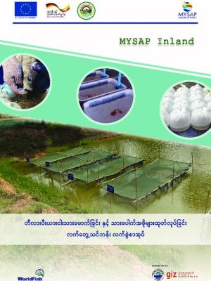 Practical training manual: Tilapia breeding and all-male fry production (Burmese Version)