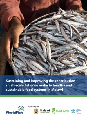 Sustaining and improving the contribution small-scale fisheries make to healthy and sustainable food systems in Malawi